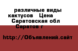 различные виды кактусов › Цена ­ 70 - Саратовская обл., Саратов г.  »    